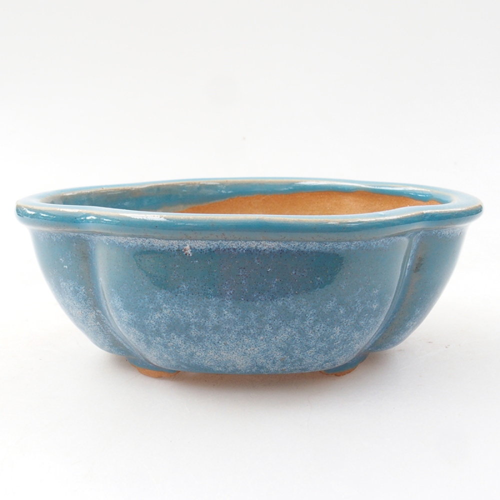 Ciotola bonsai in ceramica 12,5 x 10 x 4,5 cm, colore blu
