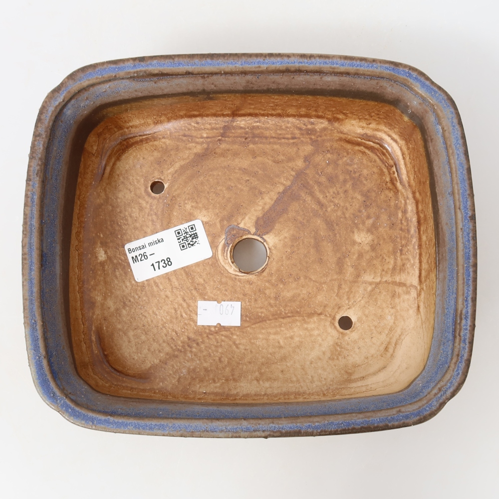 Vaso da bonsai in ceramica 19,5 x 17 x 6 cm, colore blu