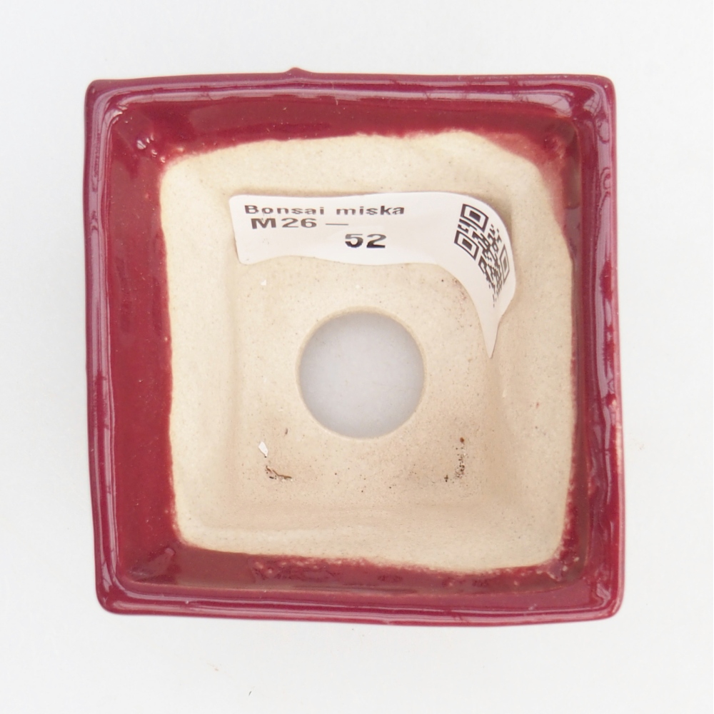 Mini bonsai 5,5 x 5,5 x 4 cm, colore bordeaux