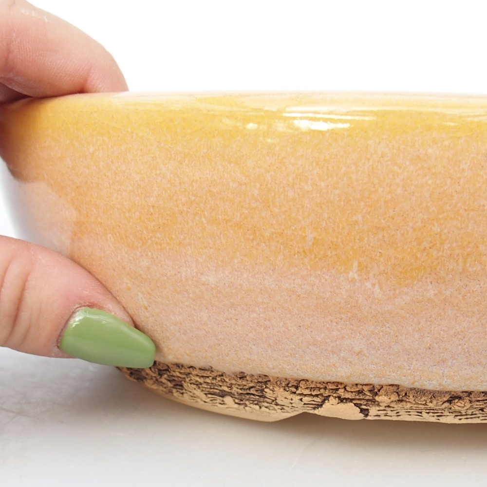 Ciotola per bonsai in ceramica 19,5 x 19,5 x 6 cm, colore marrone-giallo