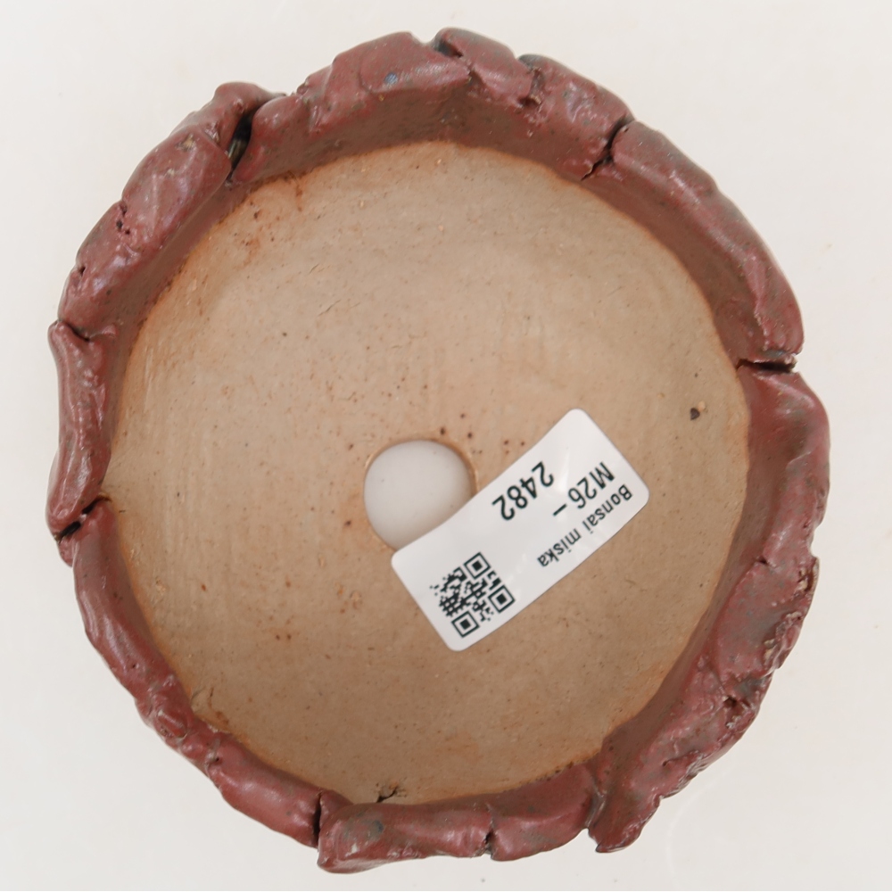 Guscio in ceramica  10,5 x 10,5 x 6 cm, colore rosa