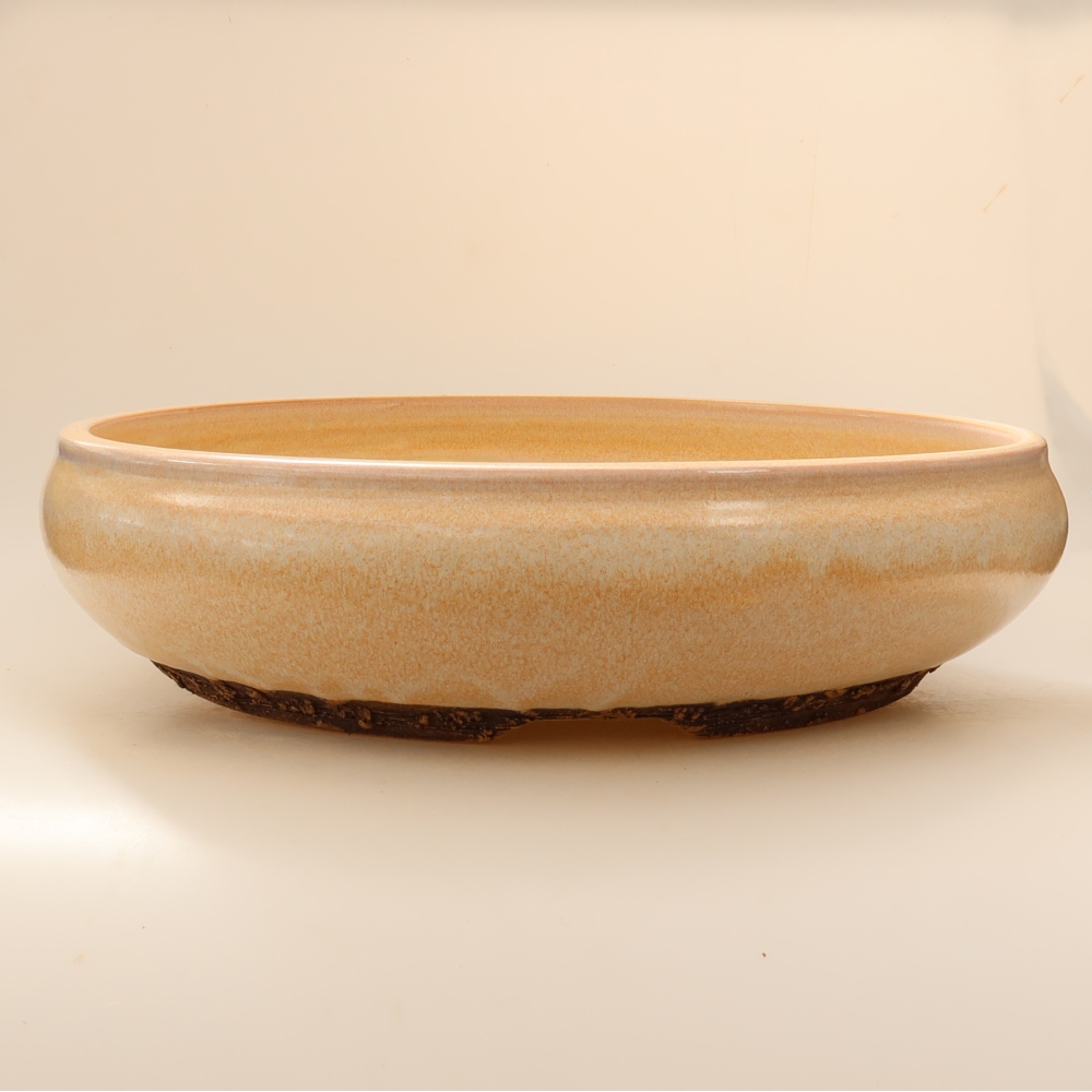 Vaso per bonsai in ceramica 36,5 x 36,5 x 9,5 cm, colore beige - SOLO RITIRO IN NEGOZIO o spedizione su pallet