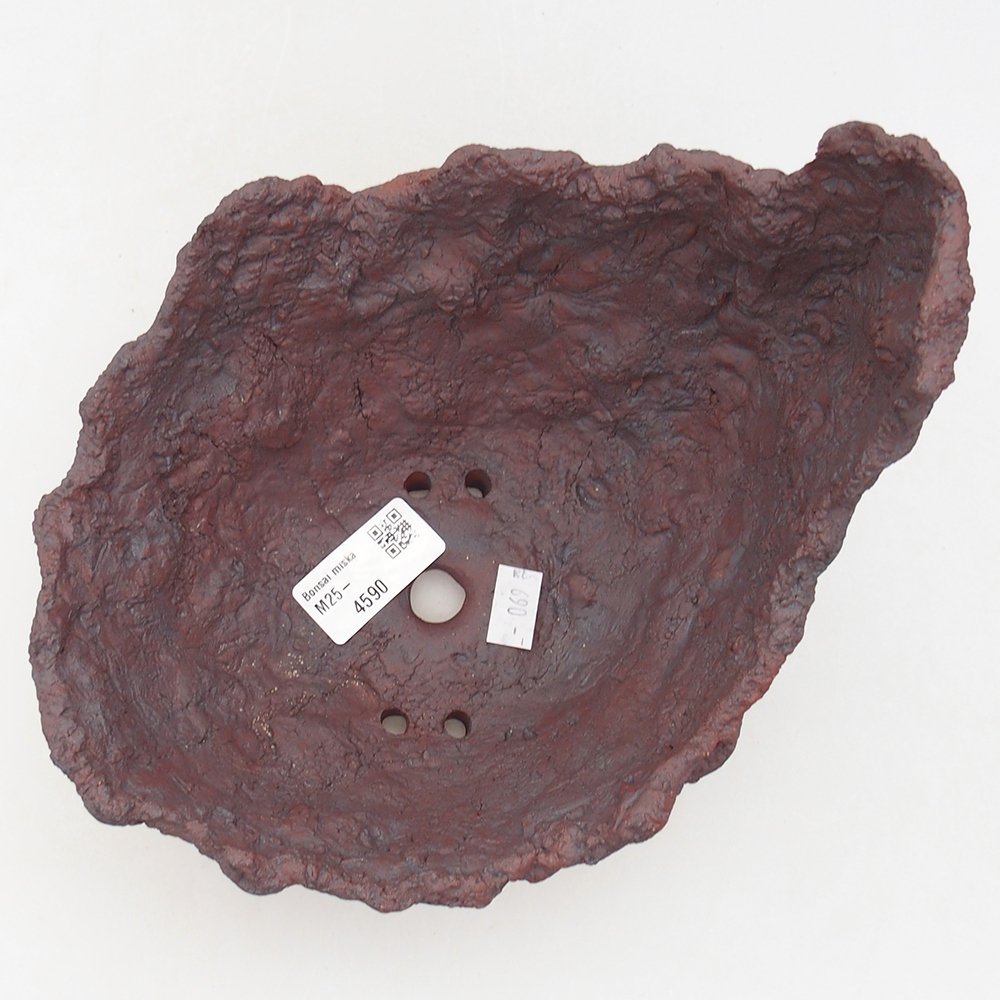 Conchiglia in ceramica 19 x 17 x 15 cm , colore marrone