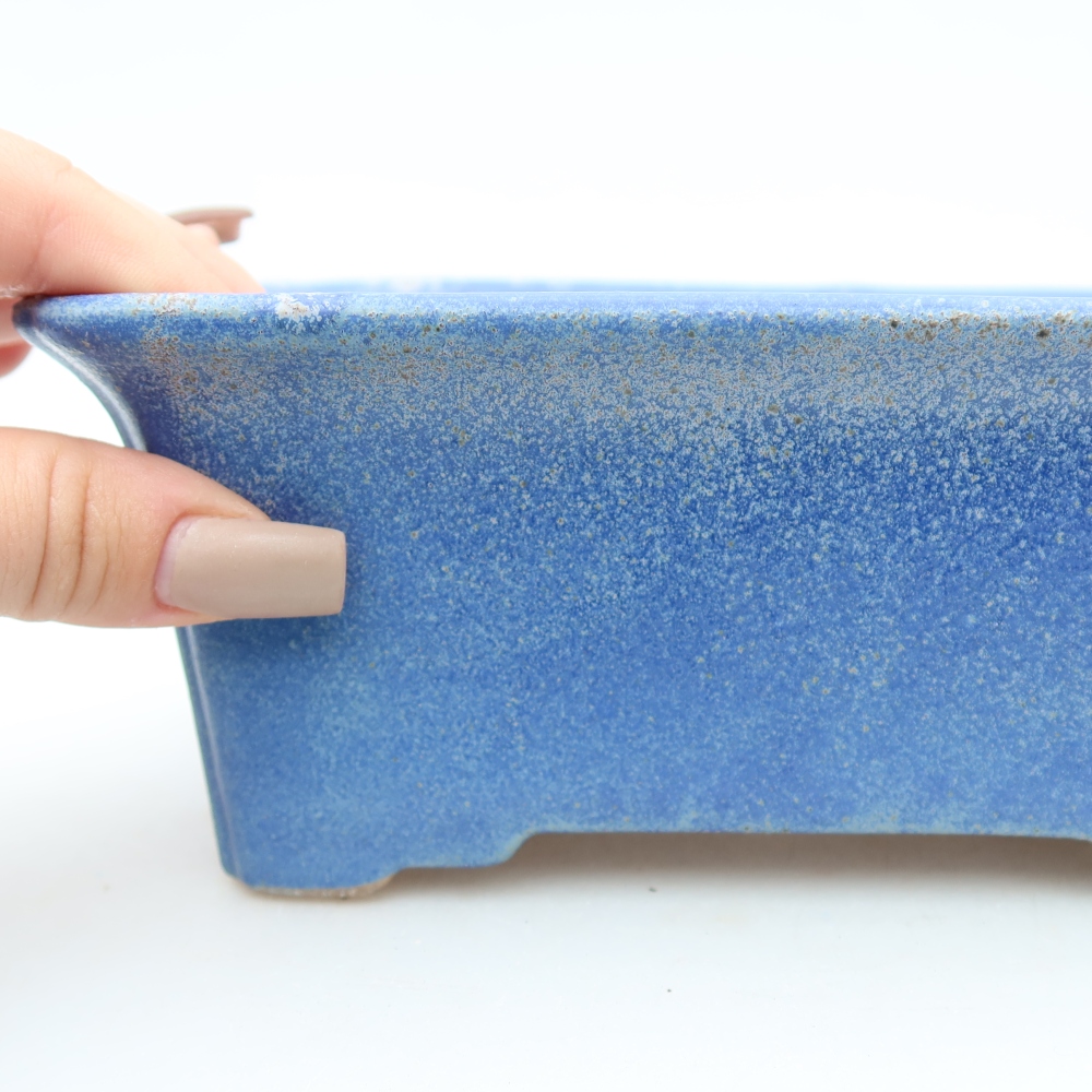 Vaso da bonsai in ceramica 18 x 13,5 x 7,5 cm, colore blu