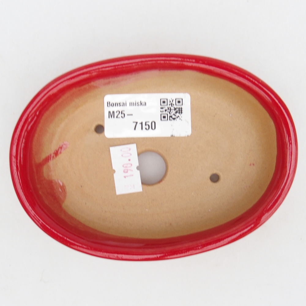 Ciotola bonsai in ceramica 26 x 26 x 8 cm, colore rosso
