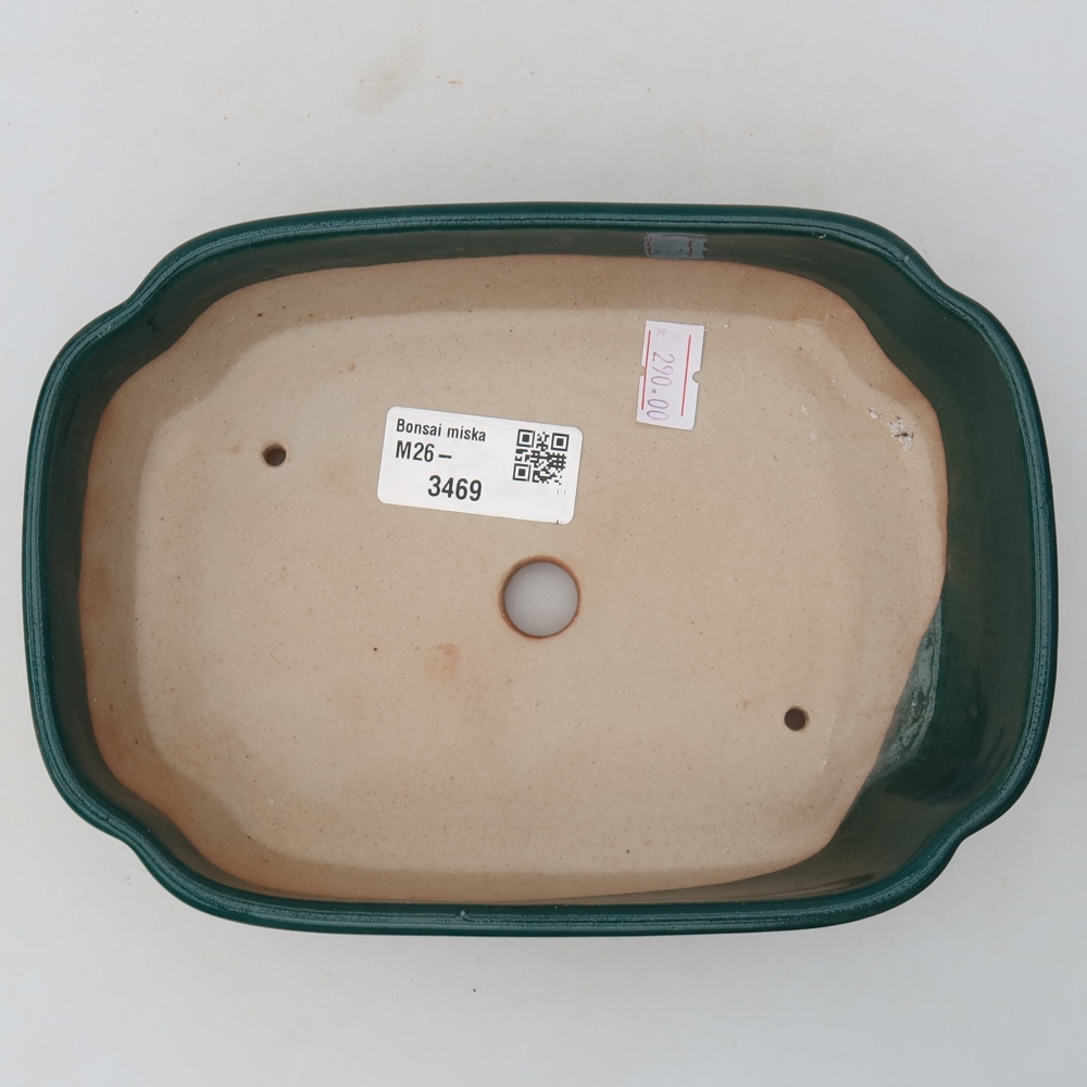 Vaso da bonsai in ceramica 18,5 x 13 x 5 cm, colore verde