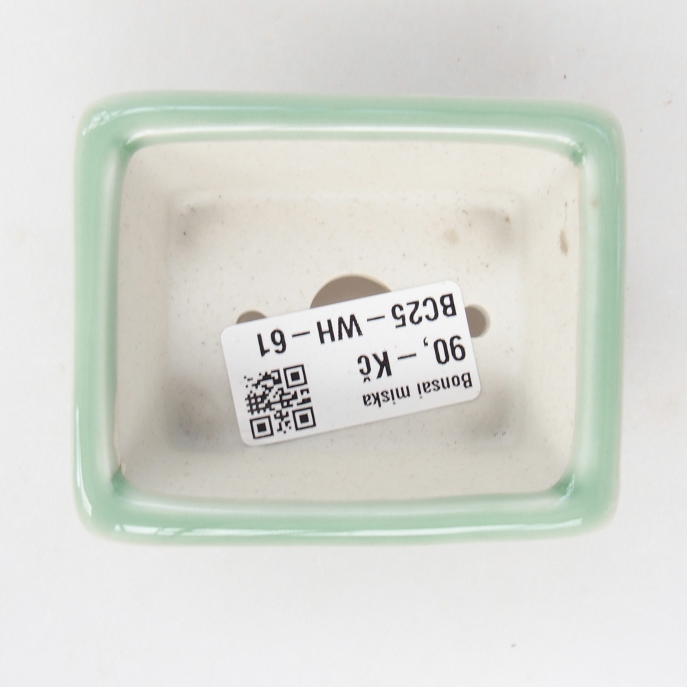 Ciotola per mini bonsai 8 x 6,5 x 3 cm, verde