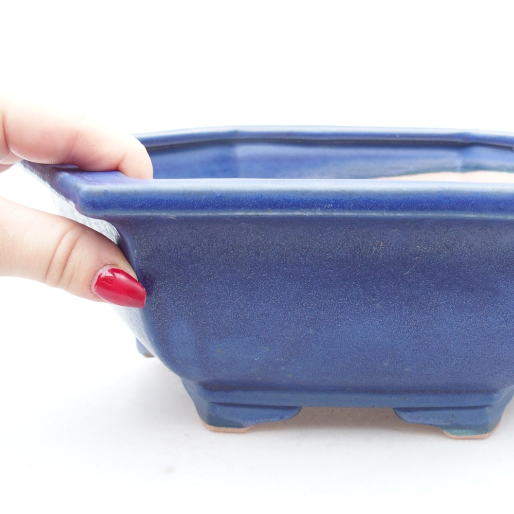 Ciotola bonsai in ceramica 28 x 24,5 x 9 cm, colore blu