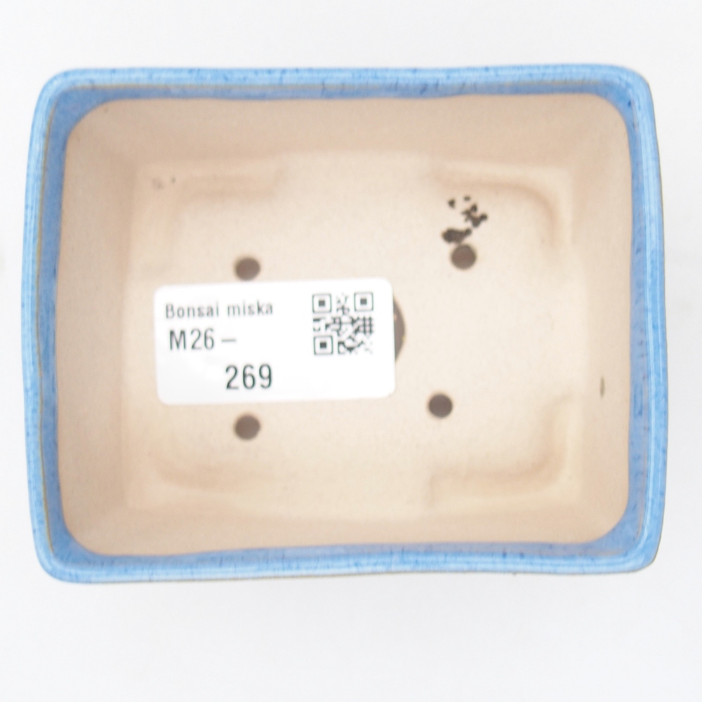 Ciotola per mini bonsai 9 x 7 x 4 cm, blu