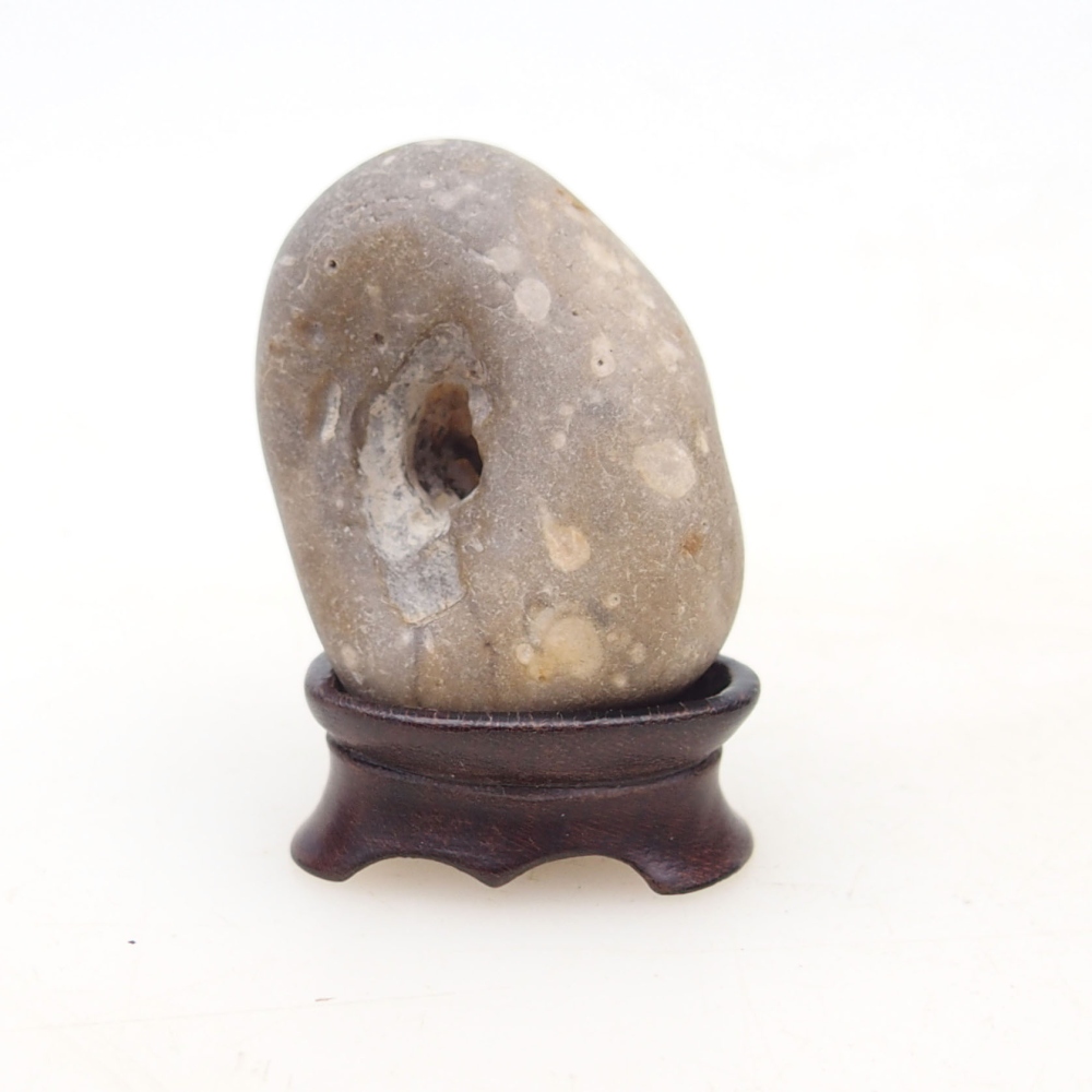 Suiseki - Pietra con DAI (base in legno)