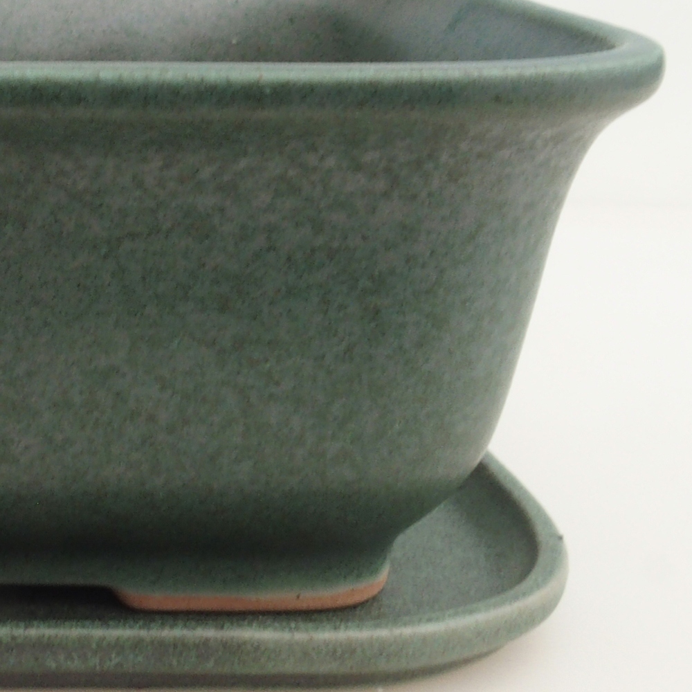 Ciotola bonsai + piattino H36 - 17 x 15 x 7,5 cm. - verde