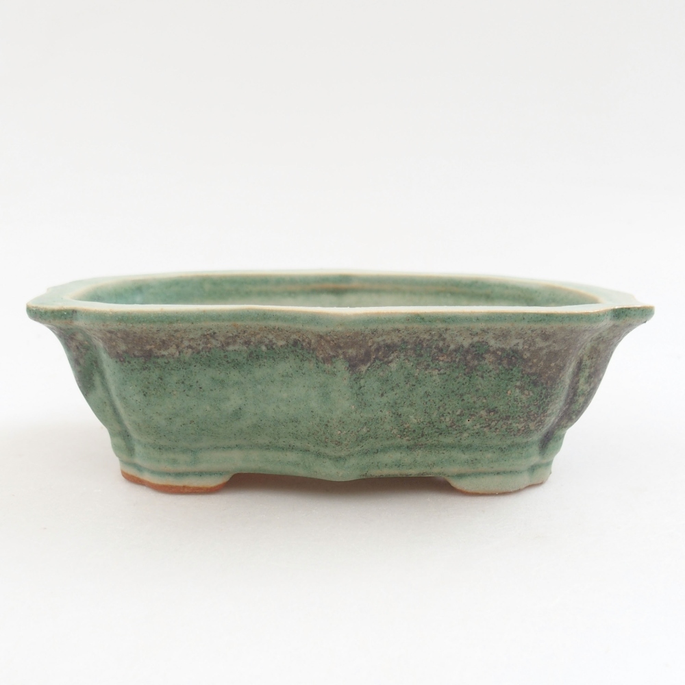 Ciotola bonsai in ceramica 22 x 17 x 5 cm, verde