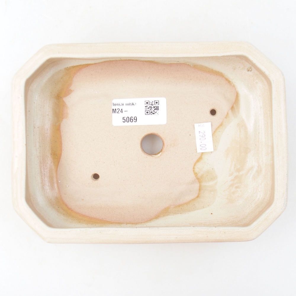 Ciotola per bonsai in ceramica 18,5 x 13,5 x 4 cm, colore beige