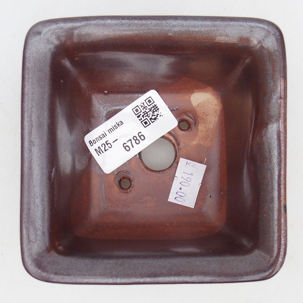 Ciotola per bonsai in ceramica 10 x 10 x 6 cm, bordeaux