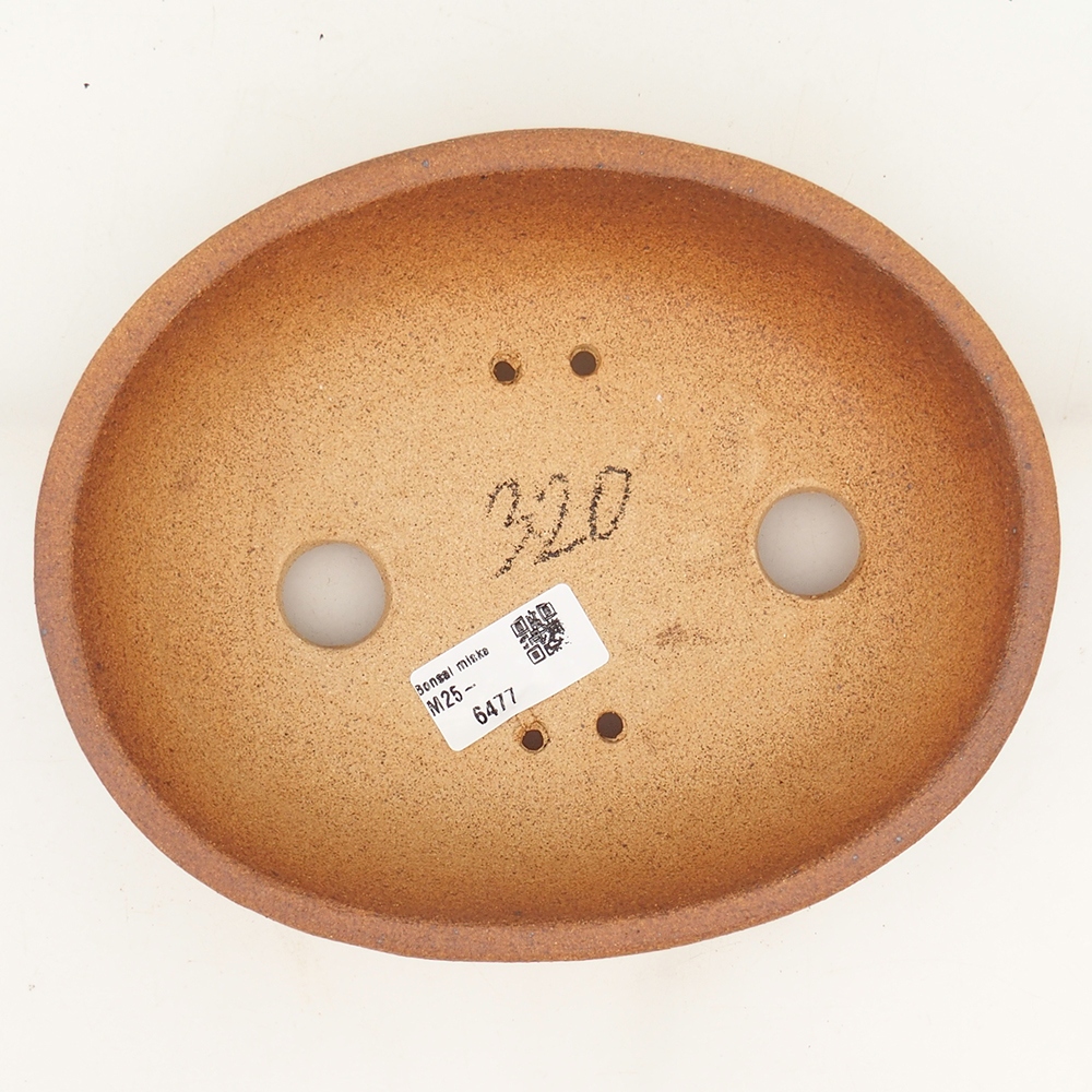 Ciotola per bonsai 20 x 16 x 5,5 cm , colore marrone