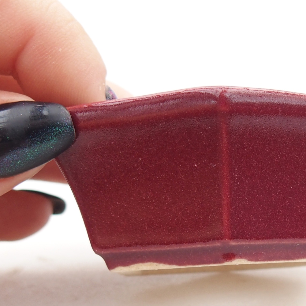 Ciotola per mini bonsai 6 x 5,5 x 2,5 cm, bordeaux