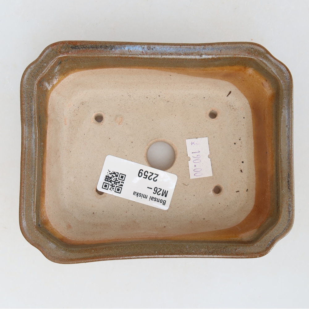 Vaso da bonsai in ceramica 13 x 10,5 x 4,5 cm, colore marrone