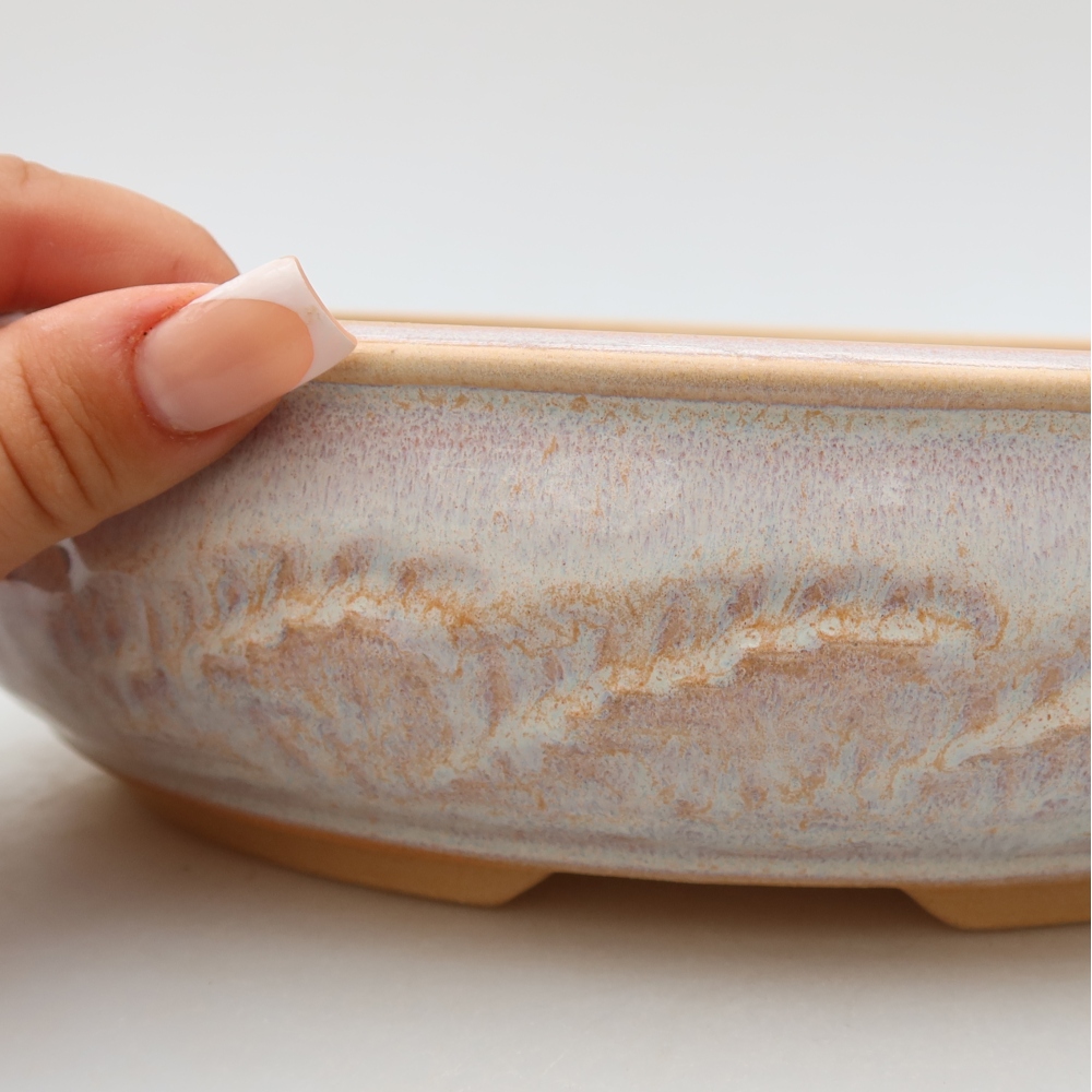 Vaso per bonsai in ceramica 25,5 x 25,5 x 6,5 cm, colore beige