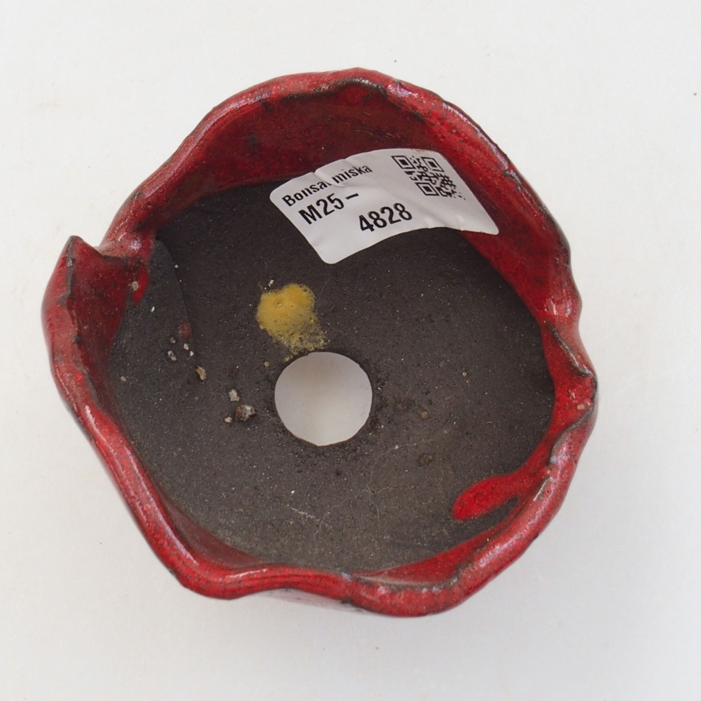 Conchiglia in ceramica 8 x 7 x 6 cm , colore rosso