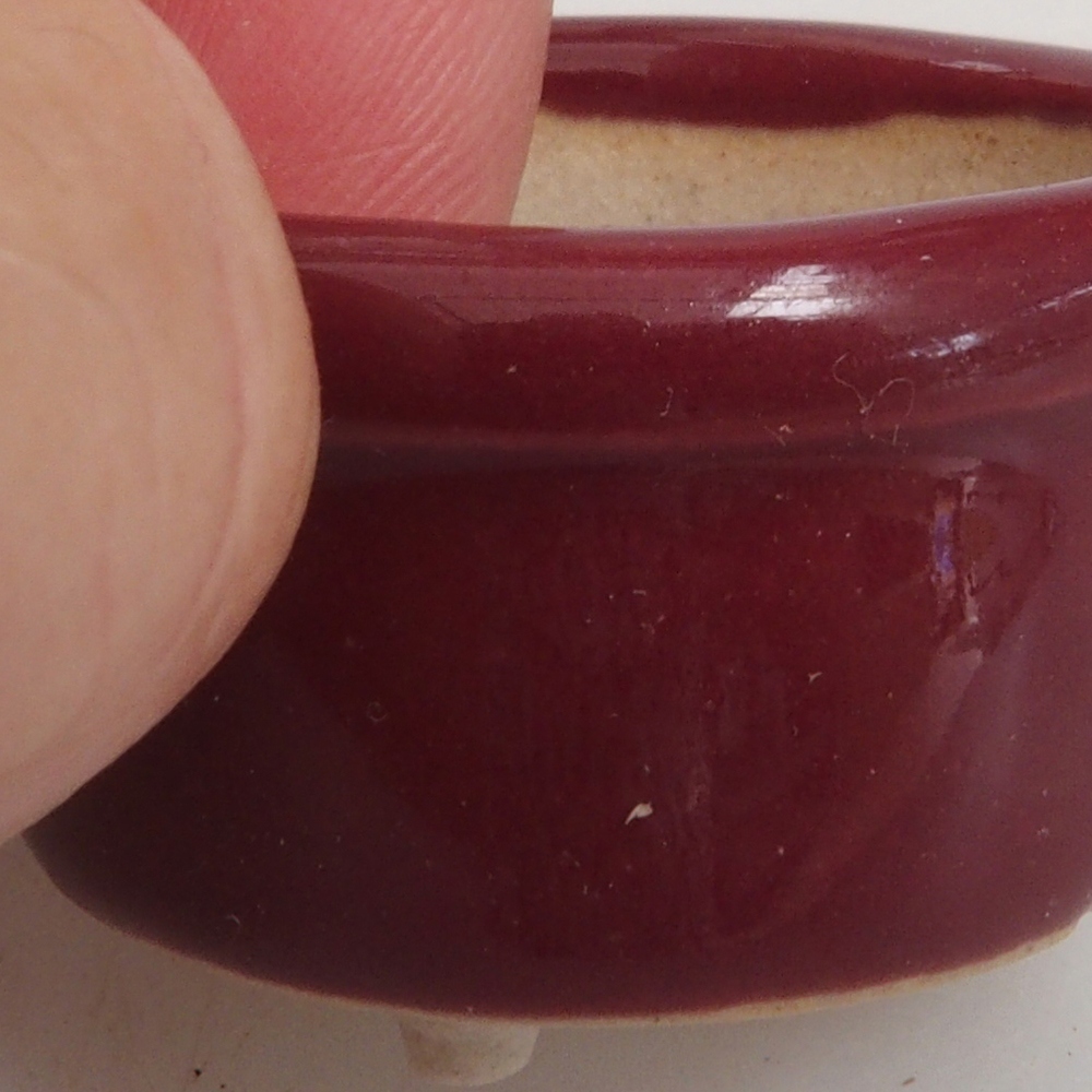 Mini bonsai 3,5 x 3,5 x 2 cm, bordeaux