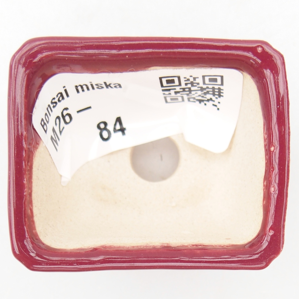 Ciotola per mini bonsai 4,5 x 3,5 x 2,5 cm, bordeaux