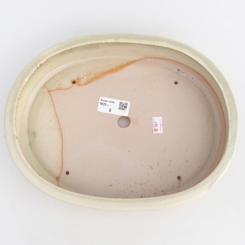 Ciotola bonsai in ceramica 27 x 21 x 5,5 cm, verde