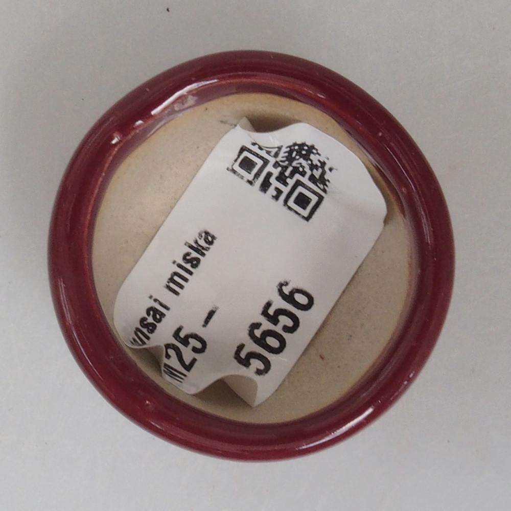 Ciotola per mini bonsai 3,5 x 3,5 x 2,5 cm, bordeaux