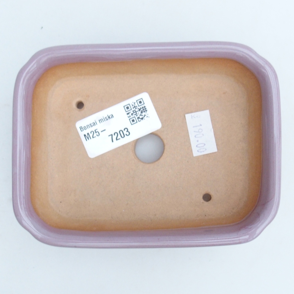 Ciotola bonsai in ceramica 26 x 26 x 8 cm, colore rosso