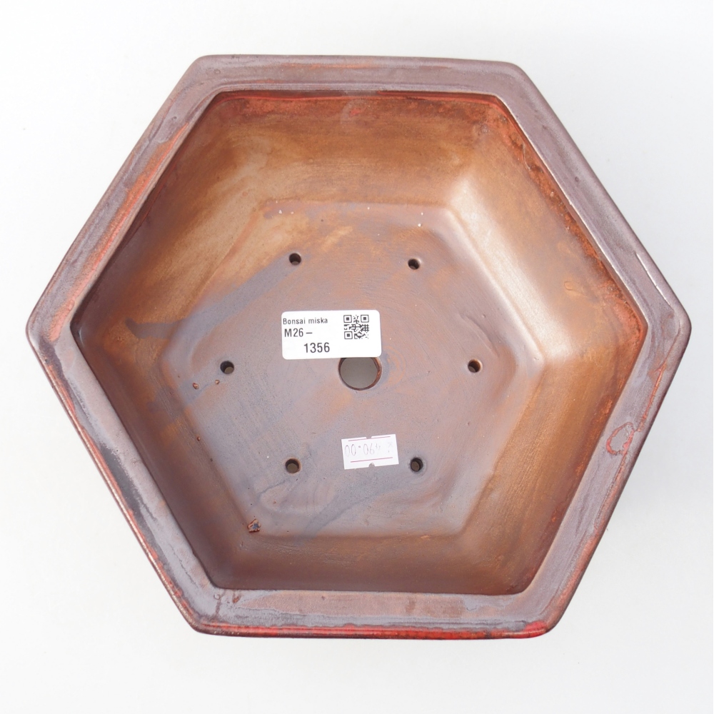 Ciotola per bonsai in ceramica 24 x 21 x 7,5 cm, colore rosso