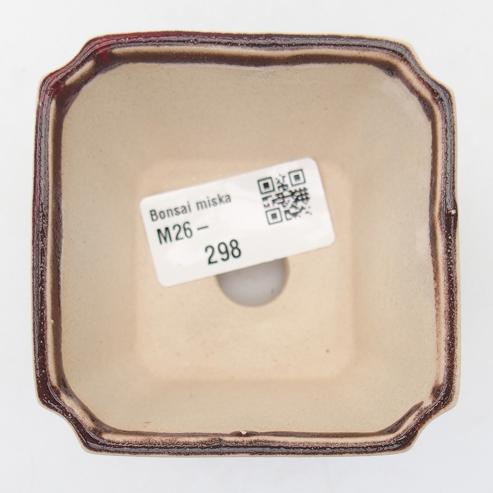 Mini bonsai 7 x 7 x 5,5 cm, colore rosso