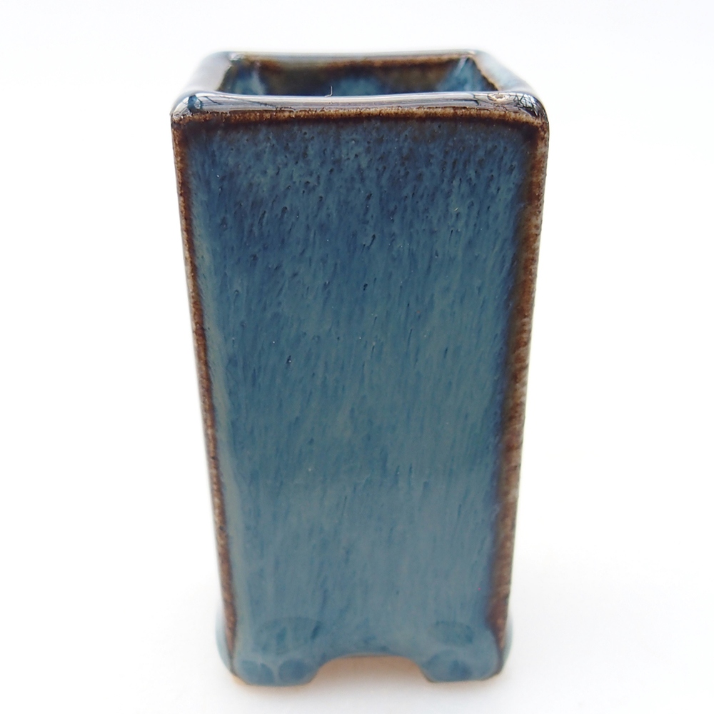 Mini bonsai 3 x 3 x 5,5 cm, colore blu