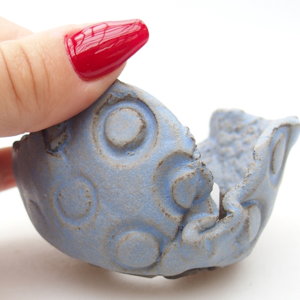 Conchiglia in ceramica 7 x 8 x 5,5 cm , colore blu
