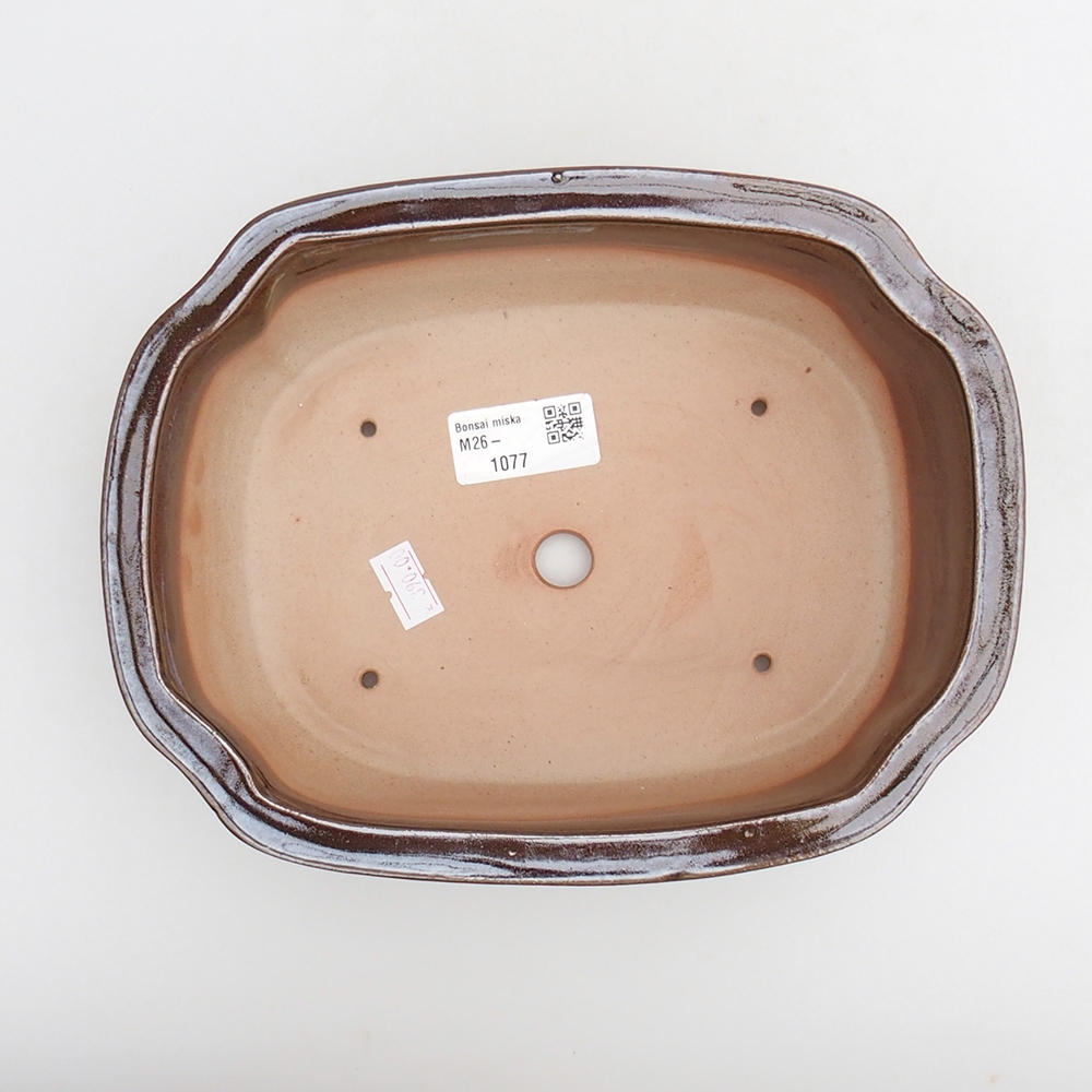 Ciotola per bonsai in ceramica 22 x 16,5 x 7 cm, marrone