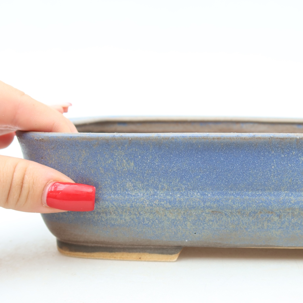 Vaso da bonsai in ceramica 23 x 19 x 6 cm, colore blu
