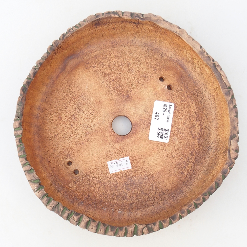 Ciotola per bonsai in ceramica 20 x 20 x 5 cm, verde