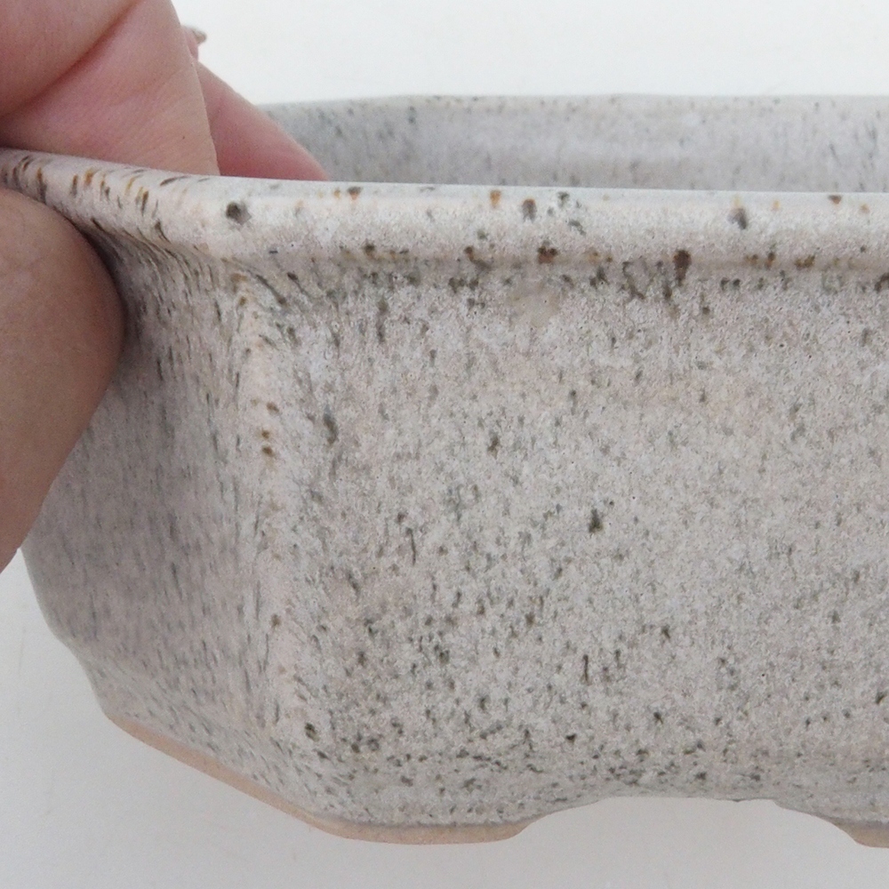 Ciotola per bonsai H13 - 12,5 x 12,5 x 4,5 cm - beige