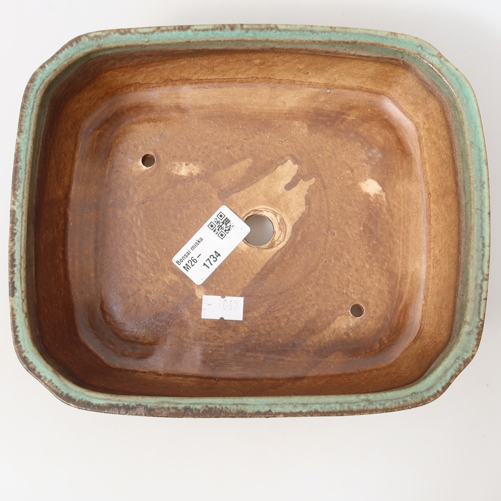 Vaso da bonsai in ceramica 21,5 x 18 x 6 cm, colore verde