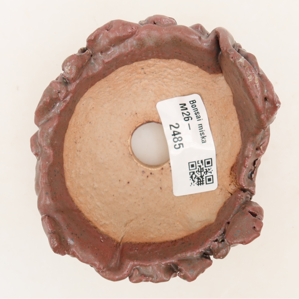 Guscio in ceramica  9,5 x 9 x 5 cm, colore rosa
