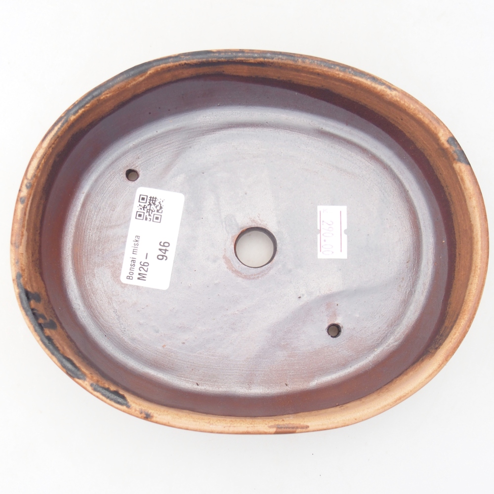 Ciotola bonsai in ceramica 17 x 14 x 4 cm, rosa