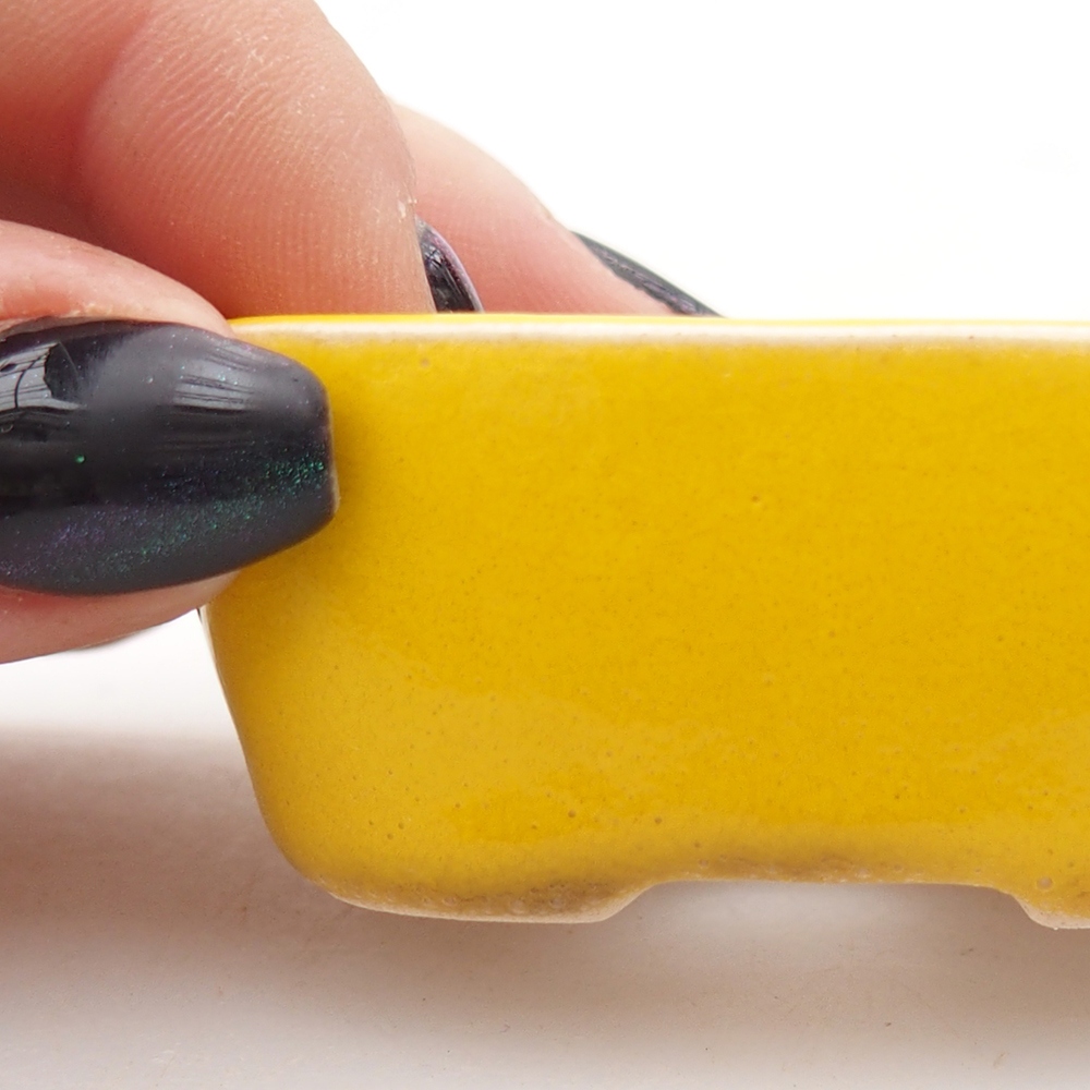 Mini bonsai 6 x 5 x 2,5 cm, giallo