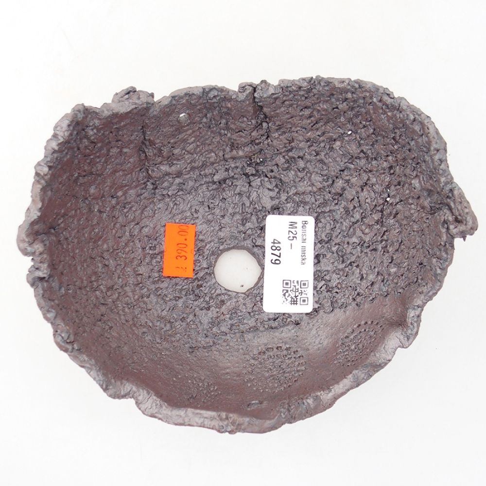 Guscio in ceramica 14 x 12,5 x 8 cm, colore metallizzato