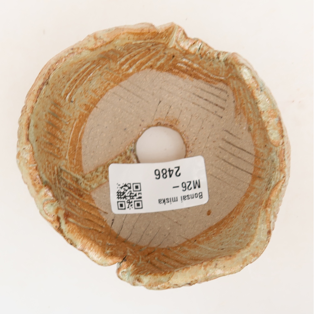 Conchiglia in ceramica 9 x 8,5 x 6,5 cm , colore beige