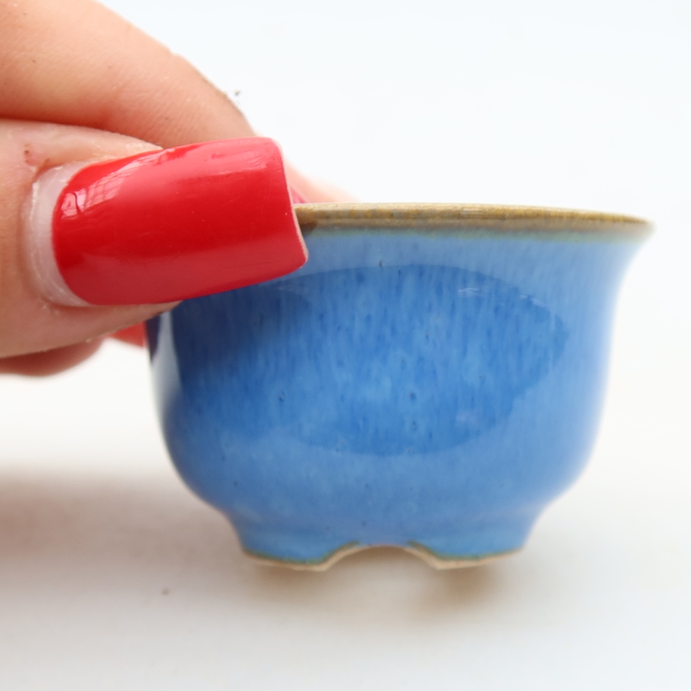 Ciotola bonsai in ceramica 5 x 5 x 3 cm, colore blu