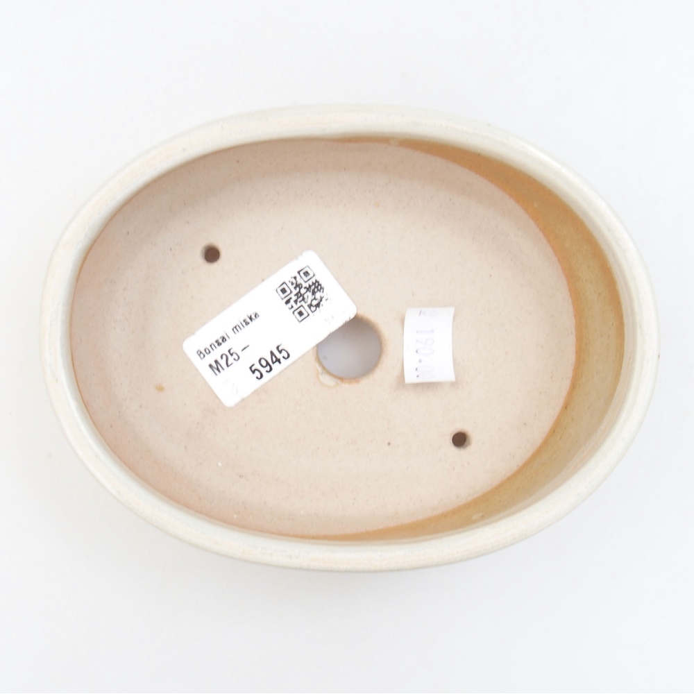 Ciotola bonsai in ceramica 22 x 17 x 5 cm, verde