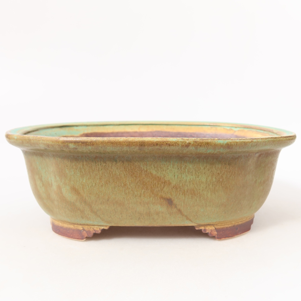 Vaso da bonsai in ceramica 20,5 x 16,5 x 7 cm, colore verde
