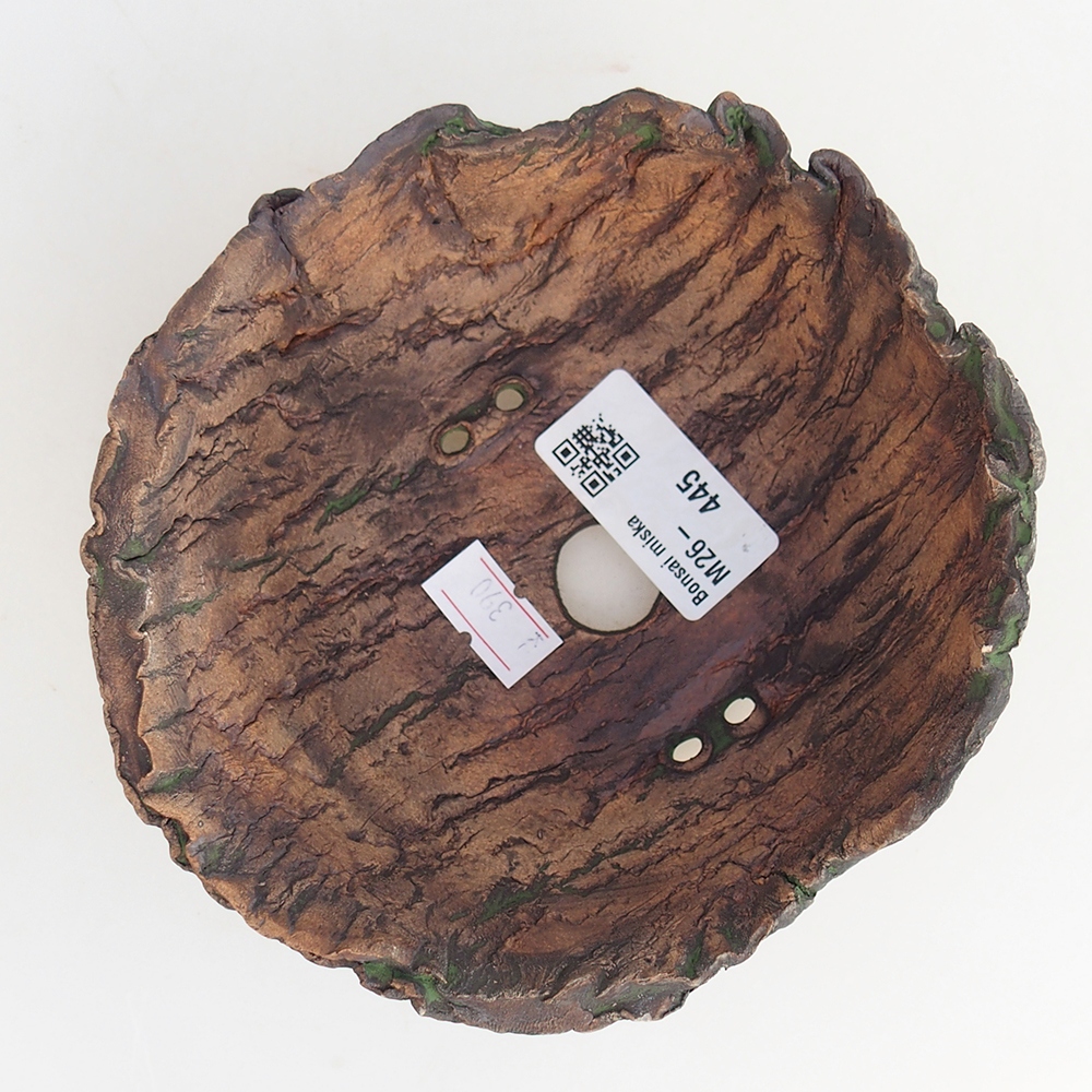 Conchiglia in ceramica 13 x 13 x 7 cm , colore verde