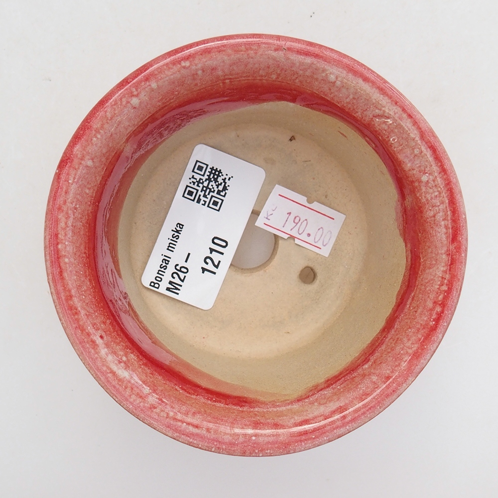 Ciotola per bonsai in ceramica 9 x 9 x 5 cm, colore rosso