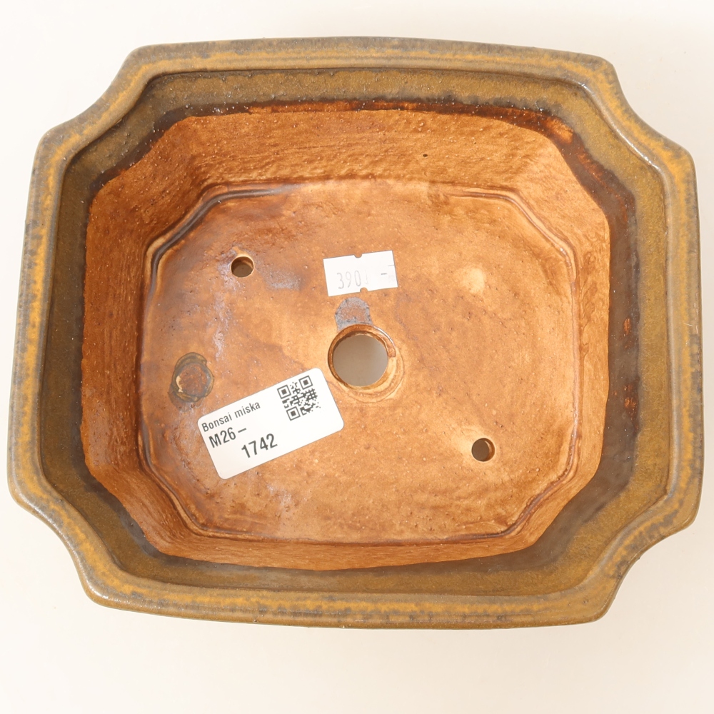 Ciotola per bonsai in ceramica 18 x 15 x 6 cm, marrone