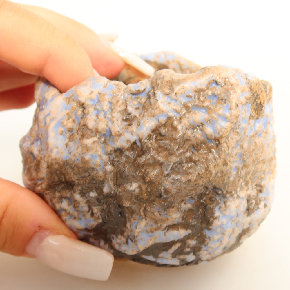 Guscio in ceramica  7 x 7 x 6 cm, colore blu-marrone
