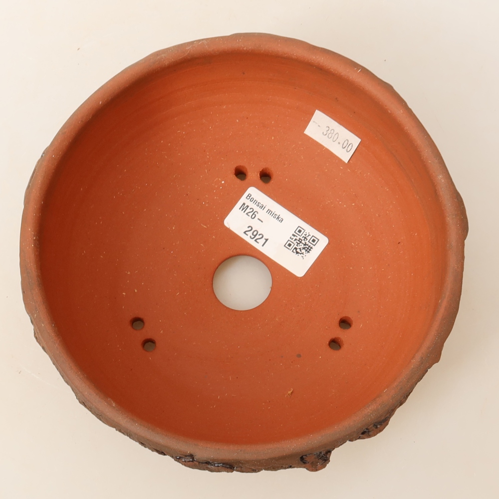 Vaso da bonsai in ceramica 16 x 16 x 6,5 cm, colore marrone